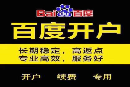 成功案例：如何通过百度推广优化提高转化率